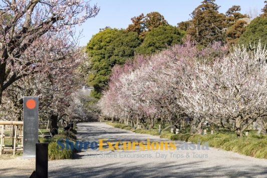 Kairakuen Garden on Hitachinaka shore tours