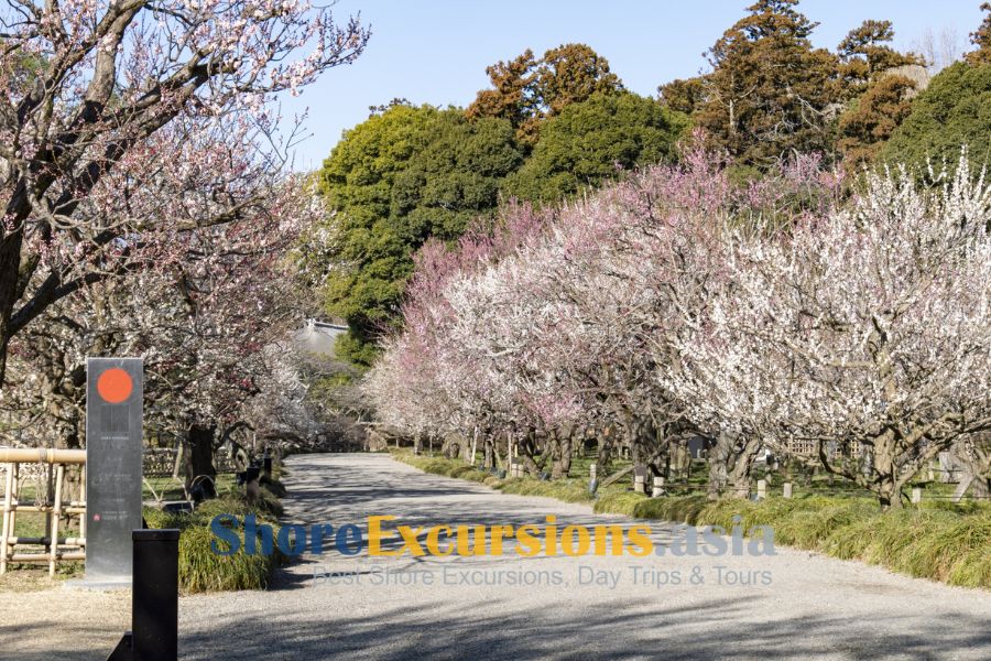 Kairakuen Garden on Hitachinaka shore tours Kairakuen Garden on Hitachinaka shore tours