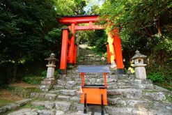 Kamikura-Jinja Shrine Shingu shore excursions