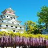 Karatsu Highlight shore excursion