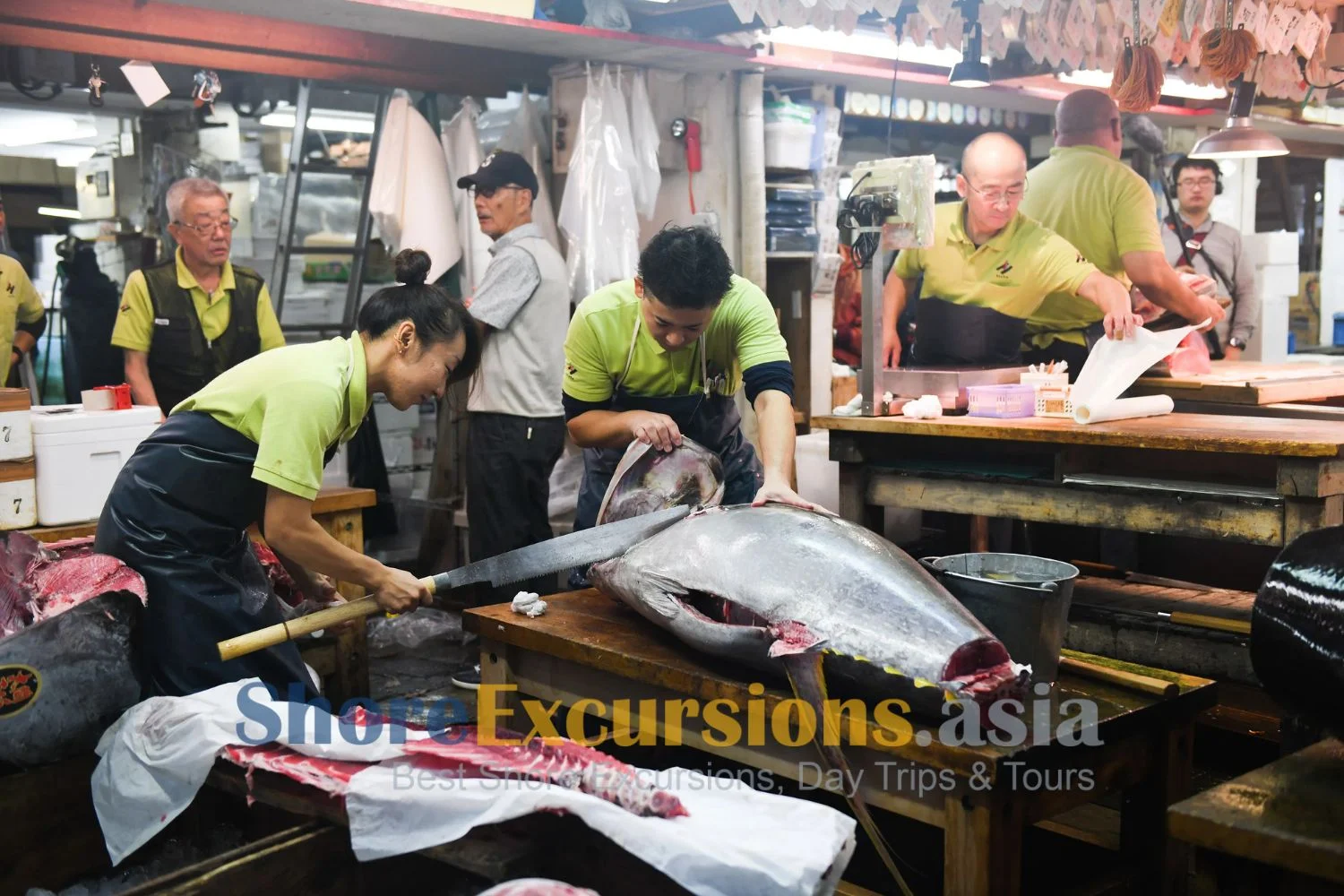 Kashi-no-Ichi Fish Market on shore tour in Shimizu