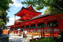 Kasuga Taisha Shrine Osaka shore excursions