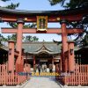 Kehi Shrine on Tsuruga shore excursions