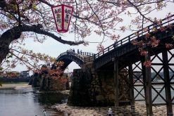 Kintaikyo Bridge-Hiroshima-shore-excursions