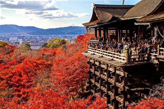 Kiyomizudera Temple Autumn leaves