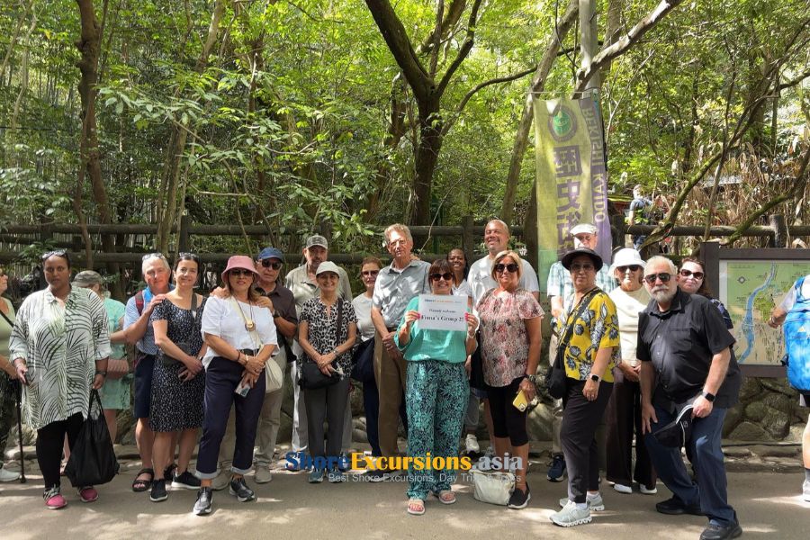 Kobe shore excursions feedback