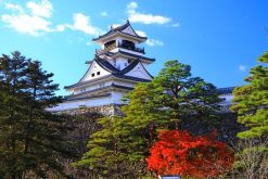 Kochi-Castle-in-japan-shore-excursions