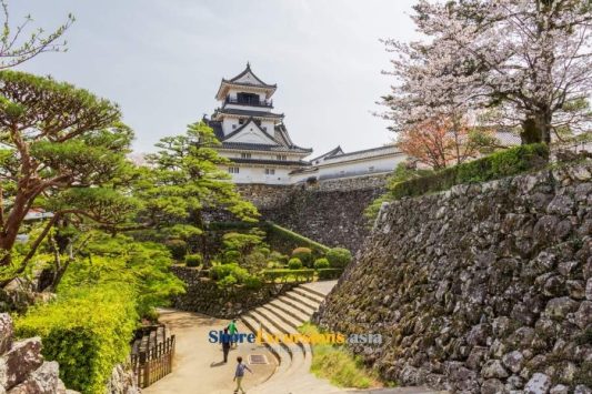 Kochi Castle shore excursions