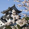 Kochi-castle-japan-shore-excursions