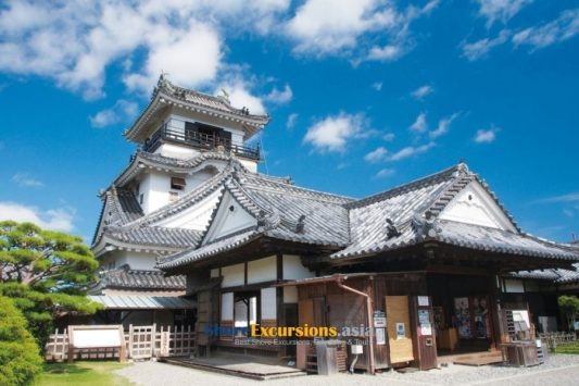 Kochi highlight shore excursions