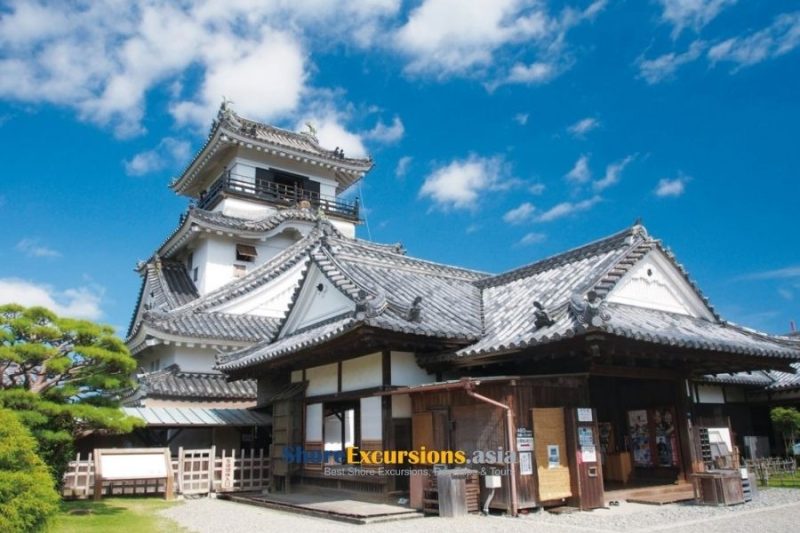 Kochi highlight shore excursions
