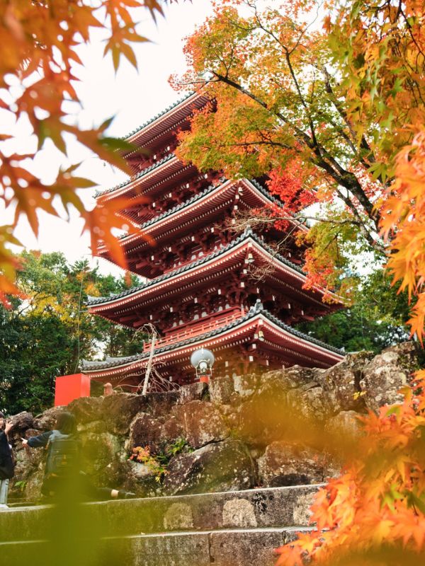 Chikurin-ji Temple in Kochi - Japan shore excursions