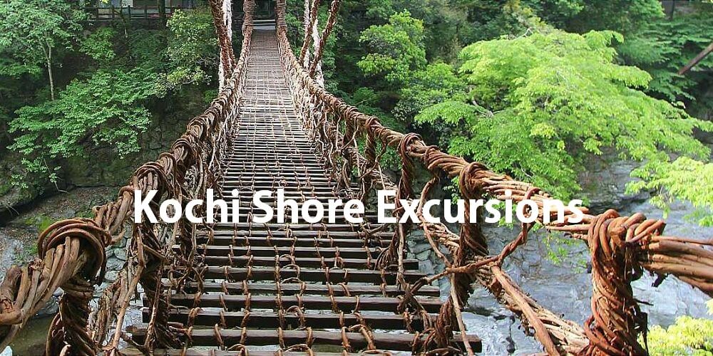 Kochi shore excursions attractions