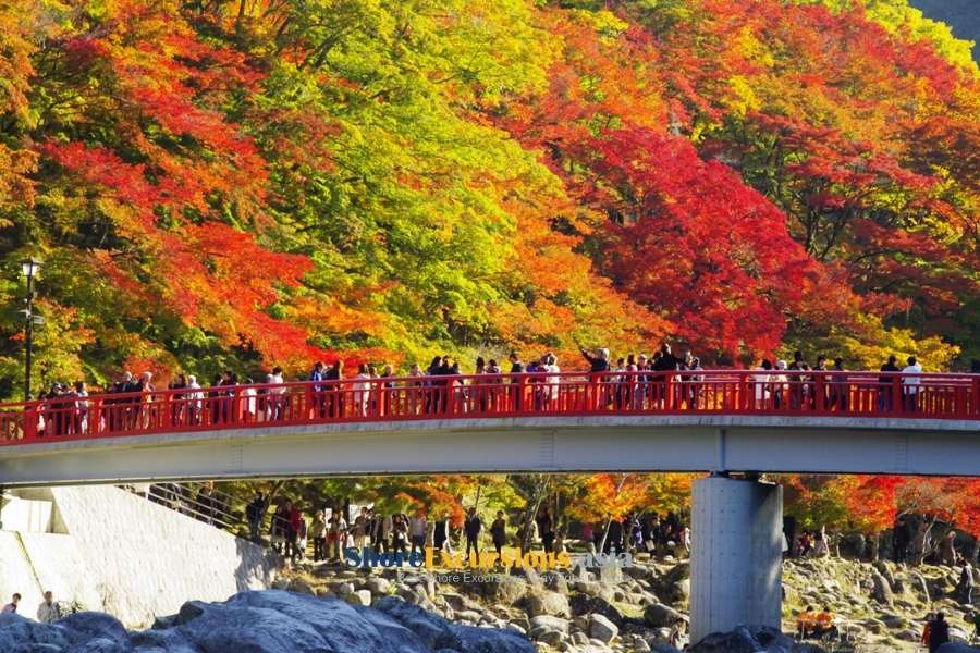 Korankei Gorge - Japan autumn foliage spots