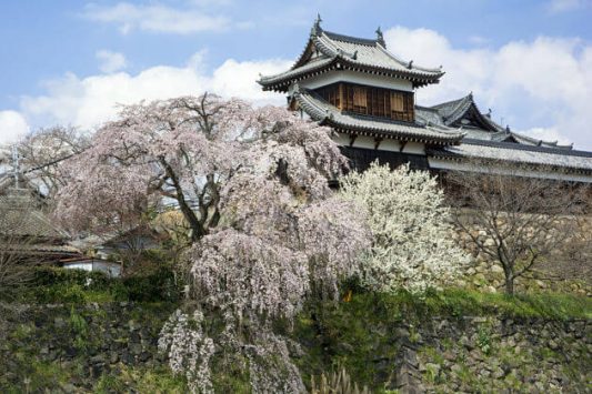 Koriyama Osaka shore excursions