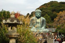 Kotokuin Temple Kamakura