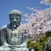 Kotokuin Temple Kamakura tour from Tokyo