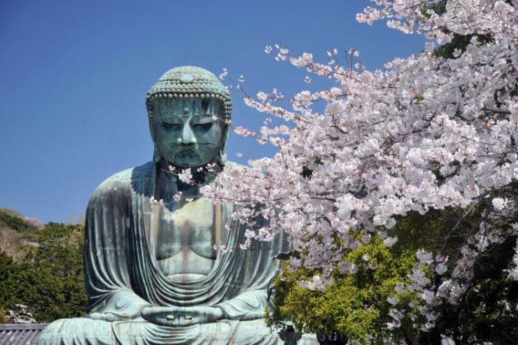 Kotokuin Temple Kamakura tour from Tokyo
