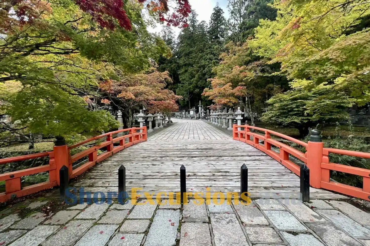 Koyasan-on-shore-excursions-Wakayama