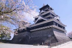 Kumamoto Castle shore excursions