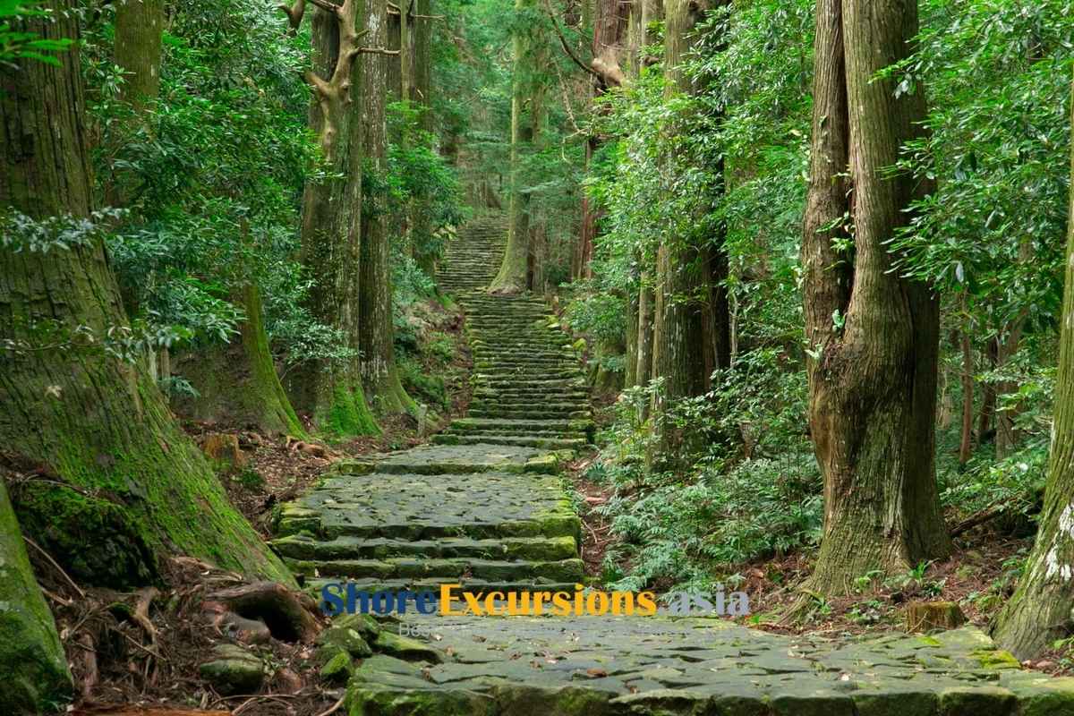 Kumano Kodo Pilgrimage Trail on Shingu shore excursions