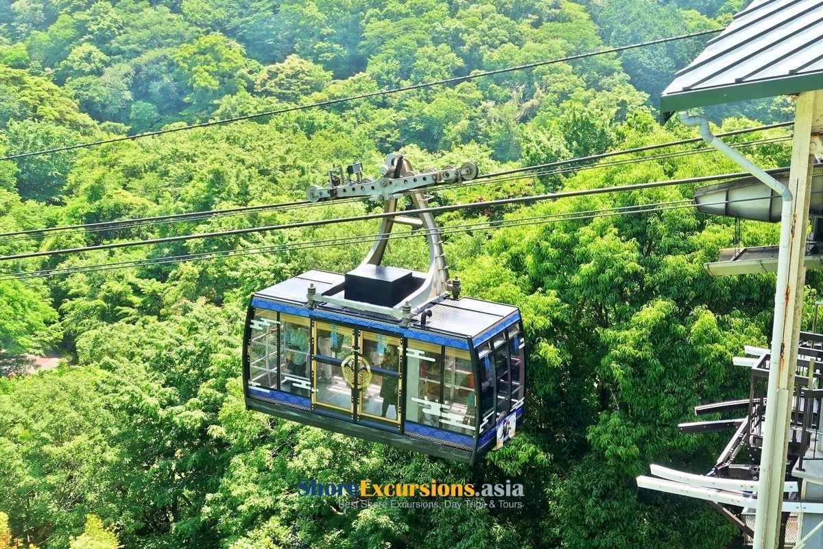 Kunozan Toshogu Shrine By Nihondaira Ropeway - Japan Shore Excursions