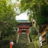 Kunozan Toshogu Shrine Shimizu shore excursions