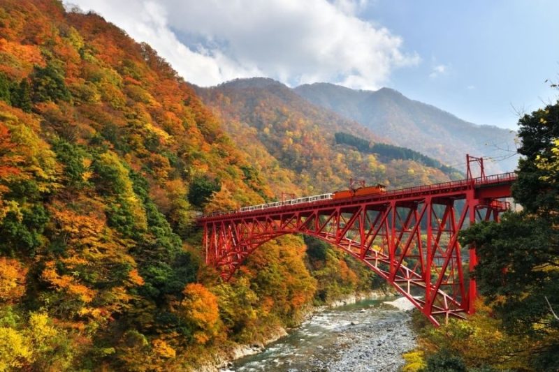 Kurobe Gorge Railway on Kanazawa shore excursions