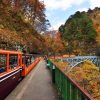 Kurobe Gorge Railway on Toyama shore excursions