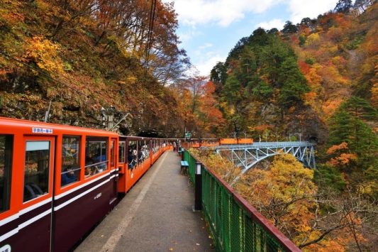 Kurobe Gorge Railway on Toyama shore excursions