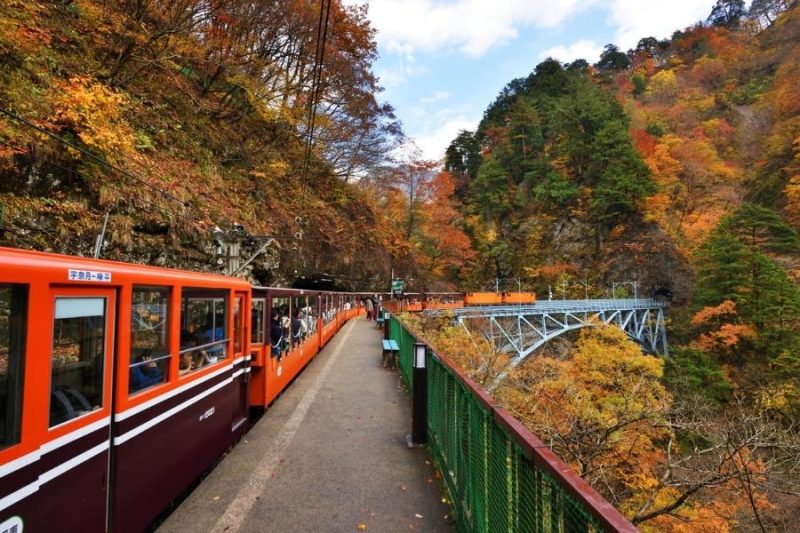 Kurobe Gorge Railway on Toyama shore excursions