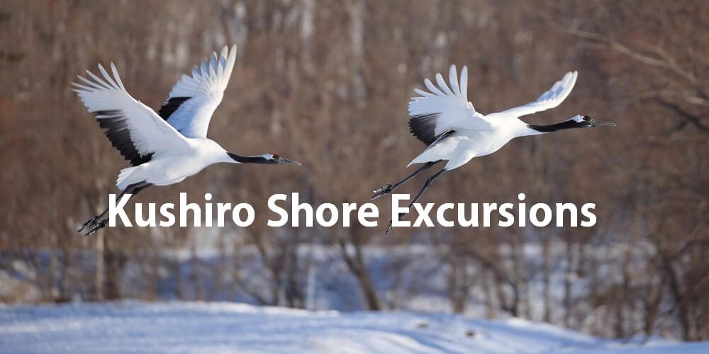 Kushiro shore excursions attraction