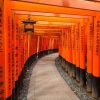 Kyoto highlight shore excursions