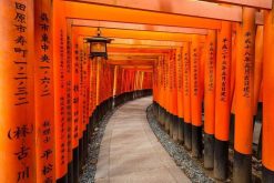 Kyoto highlight shore excursions