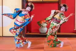 Lunch-with-Maiko-experience-Kyoto-shore-excursions