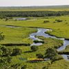 Lush Wetlands in Kushiro summer tours
