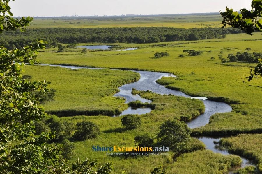 Lush Wetlands in Kushiro summer tours