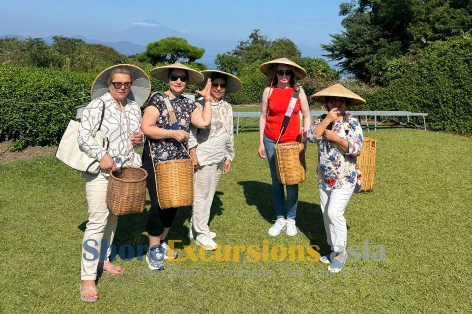 Makinohara Tea Plantations - Omaezaki shore excursions