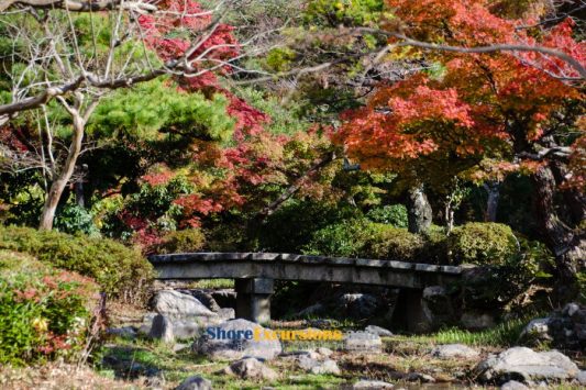 Maruyama Park shore excursions