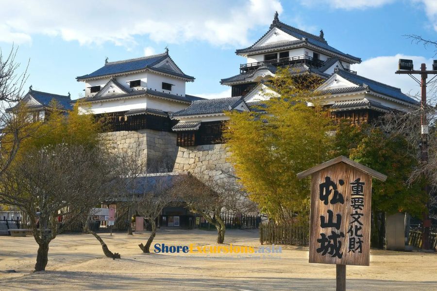 Matsuyama Castle from Cruise Port