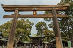 Meiji Jingu Shrine-Tokyo-shore-excursions