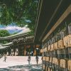 Meiji Shrine Tokyo shore excursions