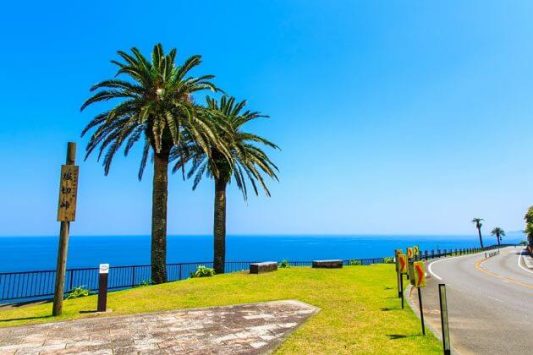 Michinoeki Phoenix Miyazaki shore excursions