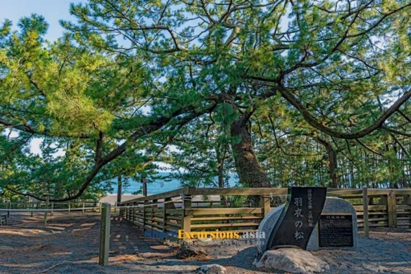 Miho-no-Matsubara Pine Grove tours from cruise port