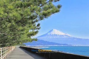 Miho-no-Matsubara - Shimizu port shore excursions