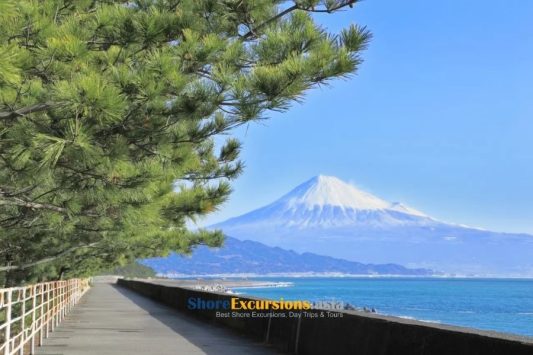 Miho-no-Matsubara - Shimizu port shore excursions