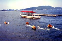 Mikimoto Pearl Island Toba shore excursions
