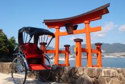 Miyajima rickshaw tour