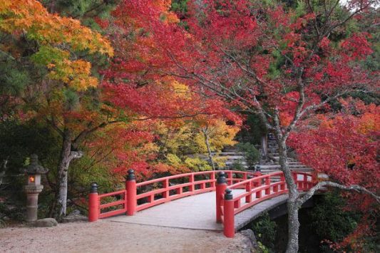 Momijidani Park Hiroshima shore excursions