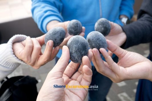 Mount Fuji & Hakone Sightseeing Tour